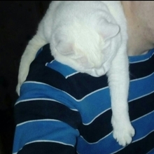 Геннадий, г. Воронеж