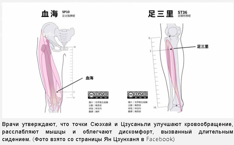 Посидите 30 минут и постойте 5 минут! Врачи выявили две акупунктурные точки, которые улучшают кровообращение и расслабляют мышцы