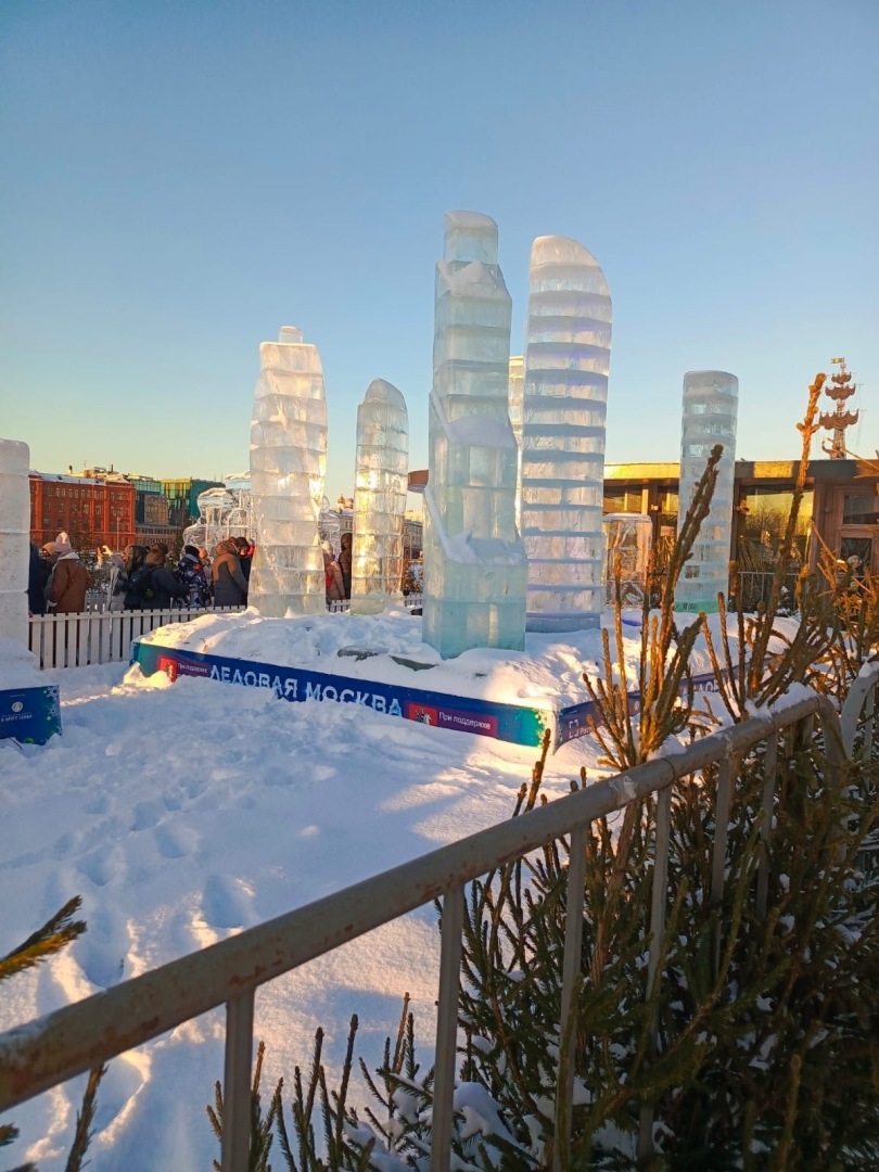 Приглашаю вас в «Ледовую Москву 2024». Москва красива и зимой, и летом. Мы побывали на выставке-форуме в Москве. Фото. Опрос