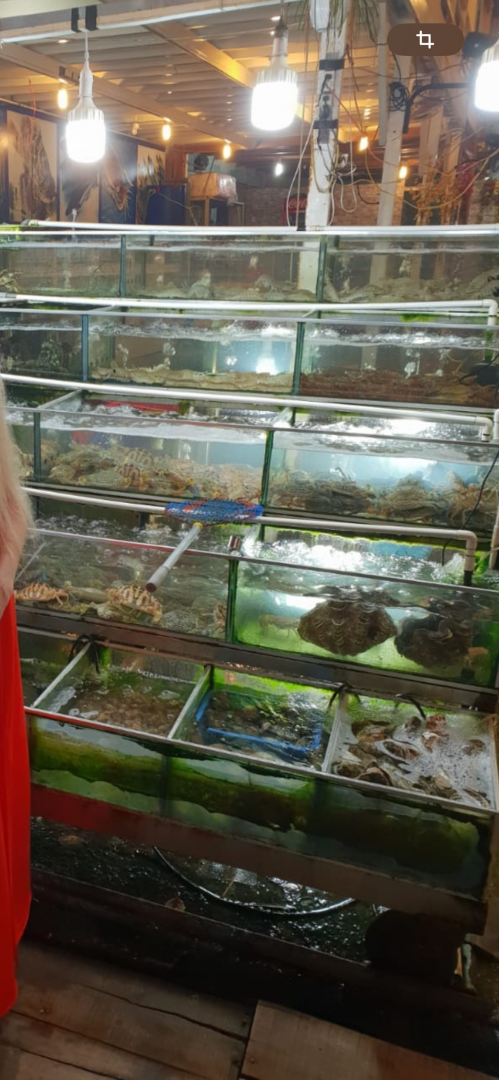 Такой загадочный и такой манящий! Чем нас удивил Вьетнам: ням-ням, сафари парк, местные рынки, фрукты и экзотическая еда. Мои впечатления и Фото