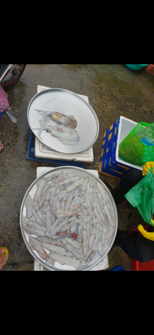 Такой загадочный и такой манящий! Чем нас удивил Вьетнам: ням-ням, сафари парк, местные рынки, фрукты и экзотическая еда. Мои впечатления и Фото