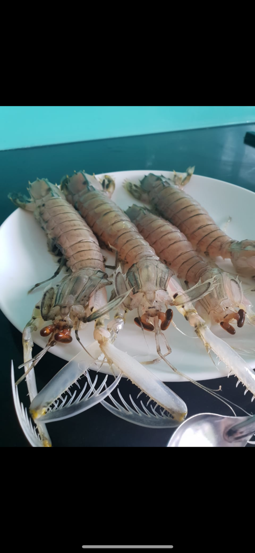 Такой загадочный и такой манящий! Чем нас удивил Вьетнам: ням-ням, сафари парк, местные рынки, фрукты и экзотическая еда. Мои впечатления и Фото