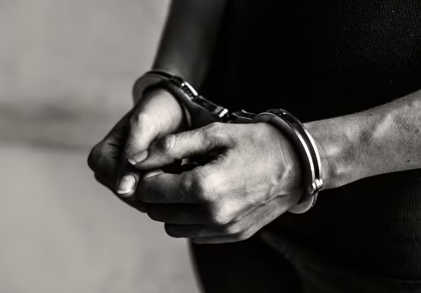 Елену Блиновскую перевели из дома в СИЗО на три месяца