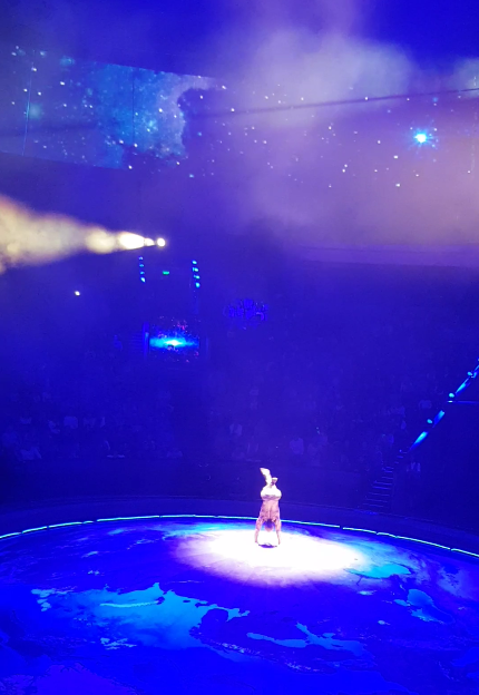 Шоу братьев Запашных. Я полюбила цирк!