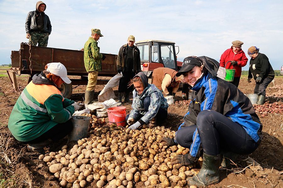 В России озвучили нехватку семян овощных культур для посевной 2024 г. Не хлебом едины...