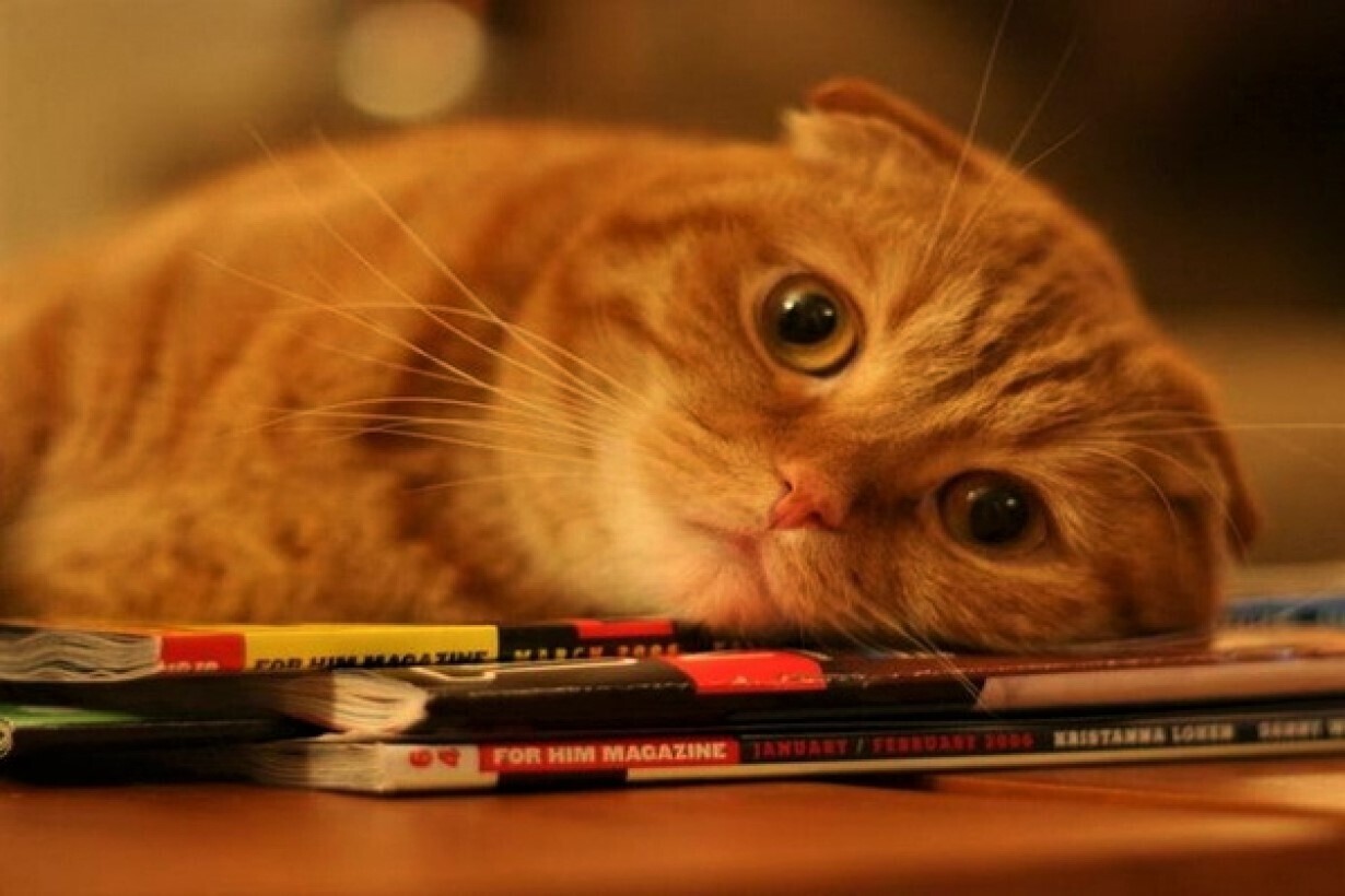 Как быстро улучшить настроение? Реальные способы поднять себе настроение