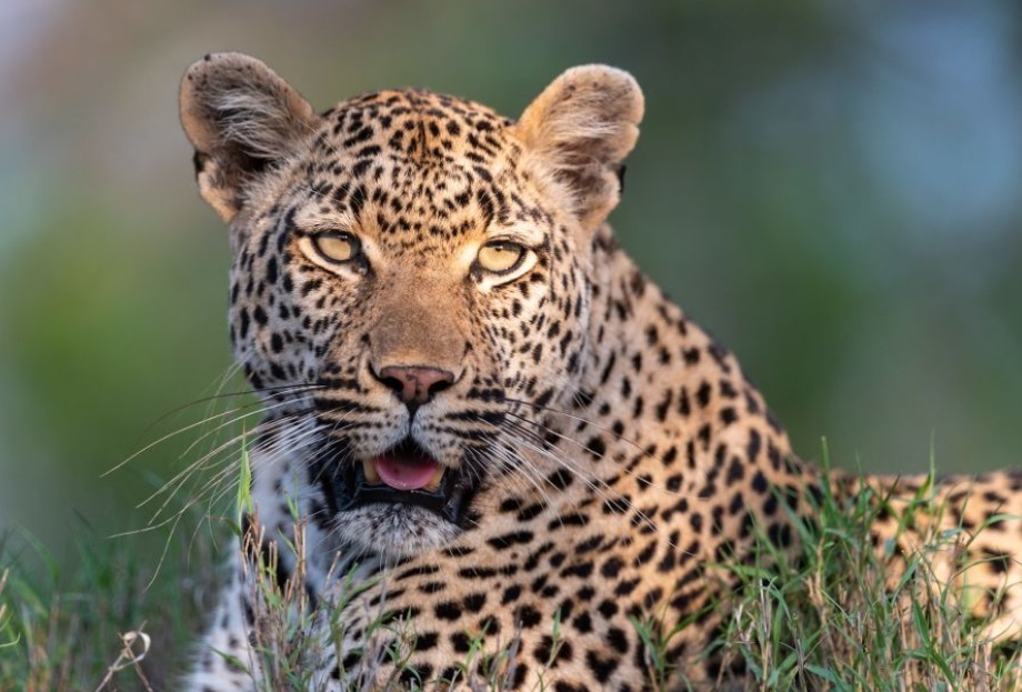 Этот поезд идет в никуда. Теперь это роскошный аттракцион