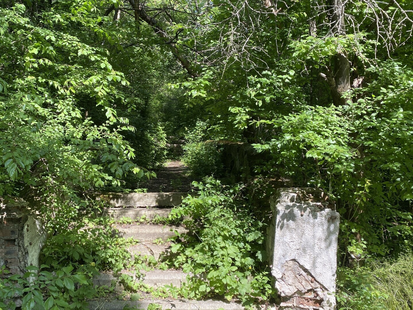 Парк Станция Морская. Как сделать деньги из воздуха