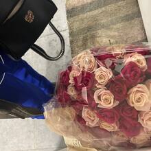 Лиана, г. Краснодар