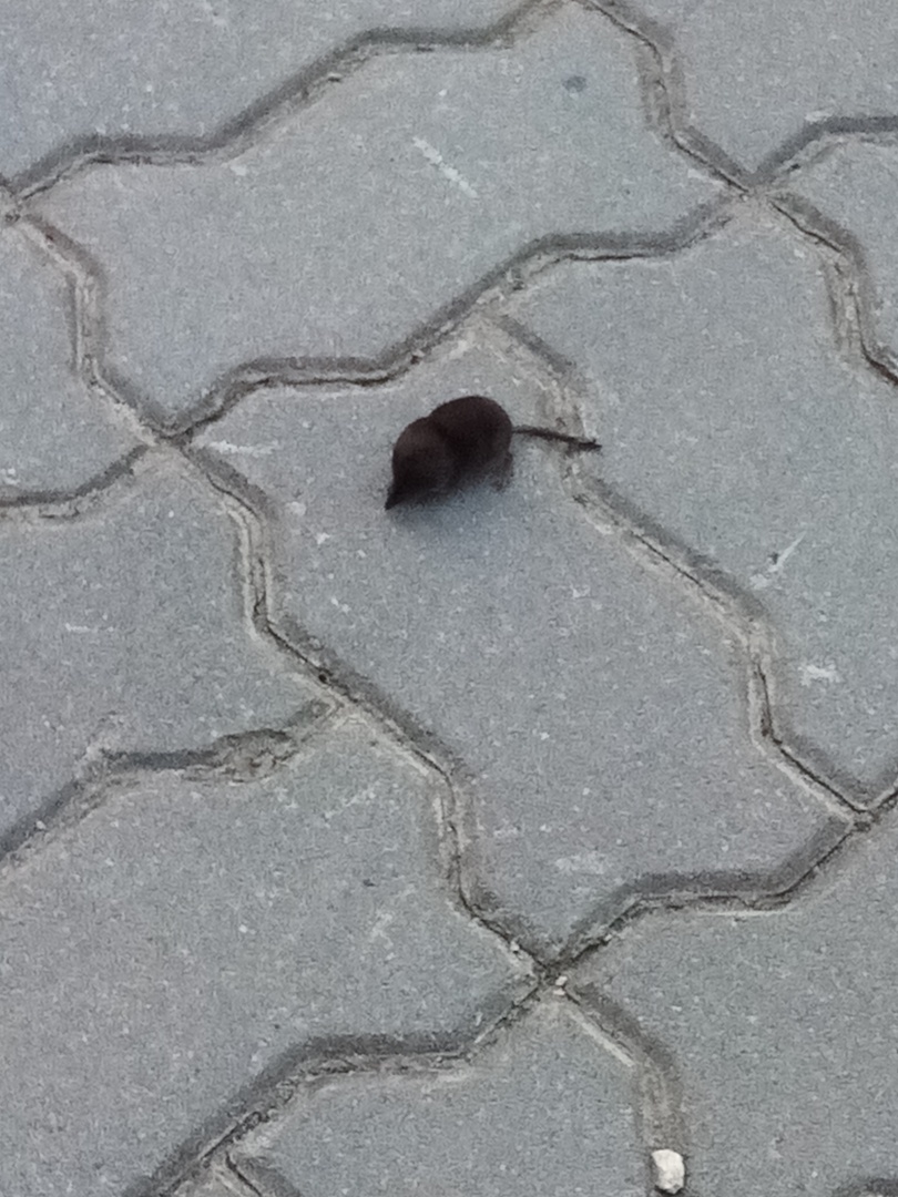 Наша поездка в скит преподобного Саввы Сторожевского. Красивейшее и благодатное место