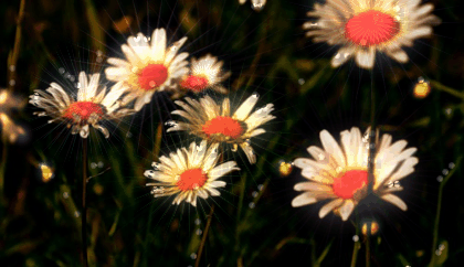 Обычное в жизни. Строчки.