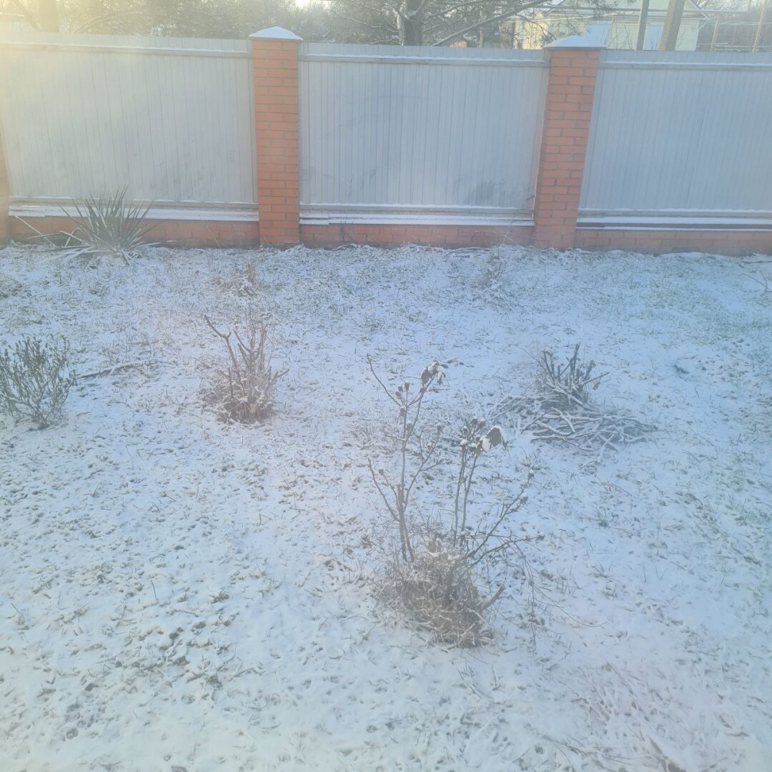 7 день на пути к миллиону на блогах