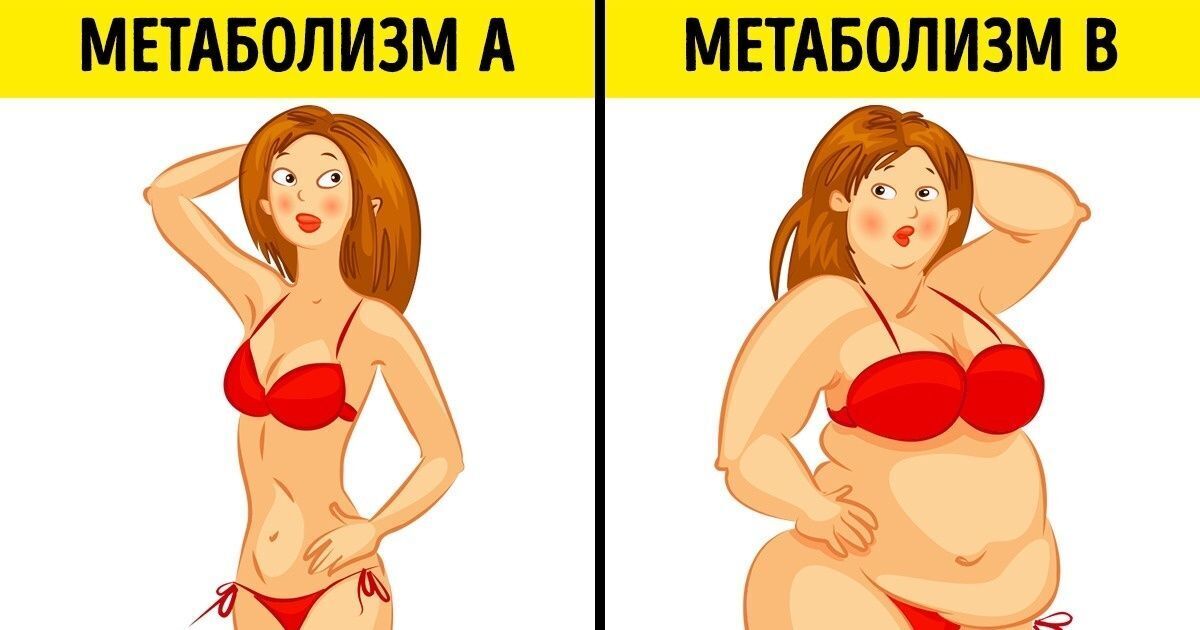 Улучшение метаболизма: ключи к здоровью и эффективности