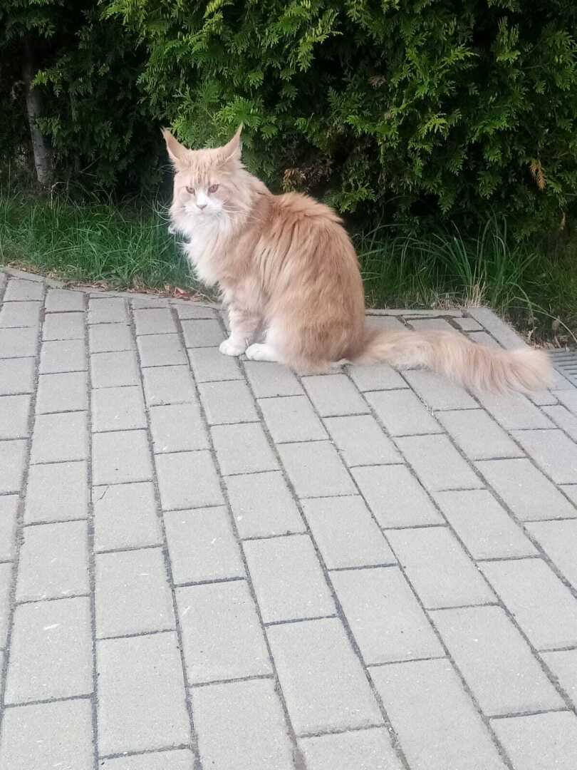 Наша поездка в Николо-Пешношский монастырь. Непередаваемая красота!