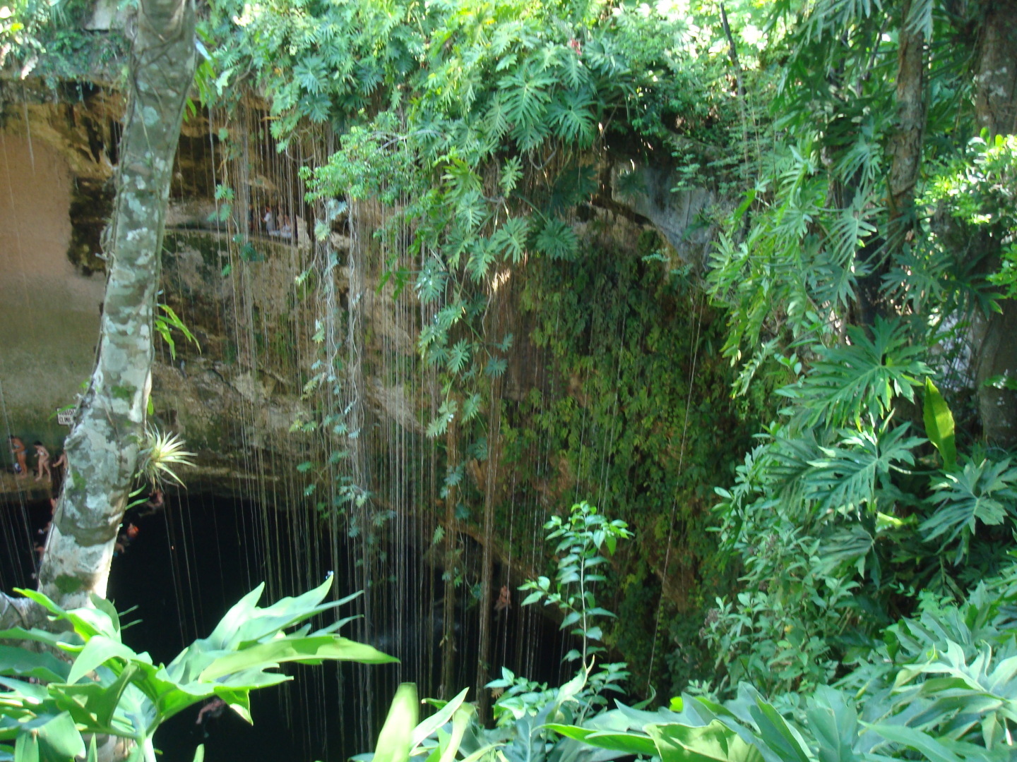 Мое путешествие в Мексике. Часть 2. Музей текилы, парашют, драгоценные камни, сеноты