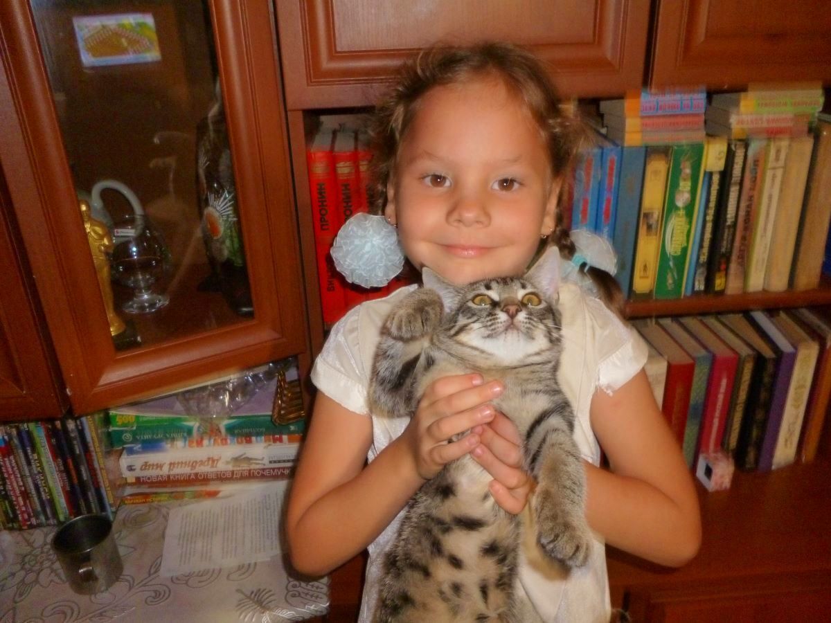 А вы замечали, что коты любят книги? Особенно наш Васька