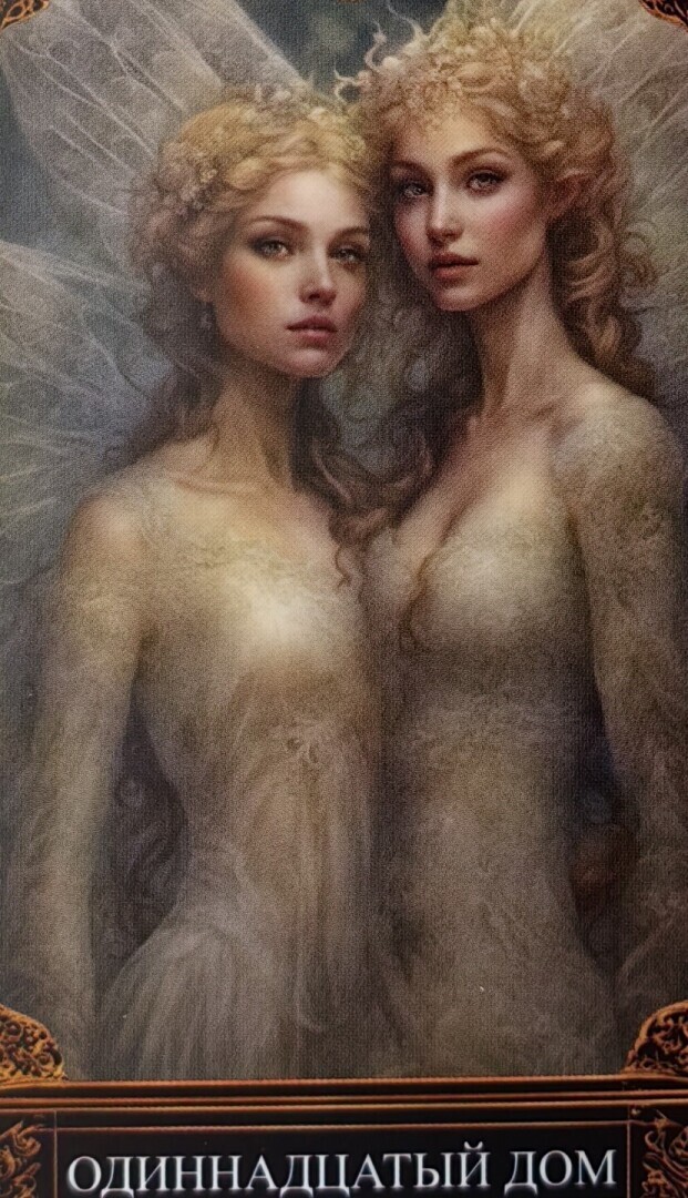 Лев. Прогноз на февраль 2024 года.