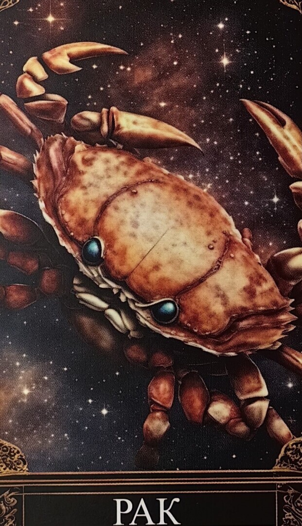 Раки прогноз для Вас на февраль 2024 года.