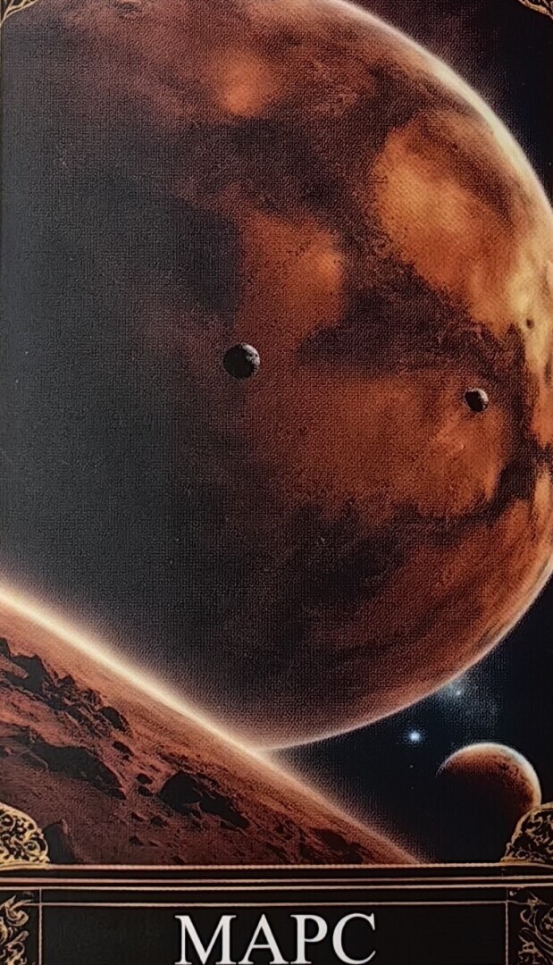 Лев. Прогноз на февраль 2024 года.