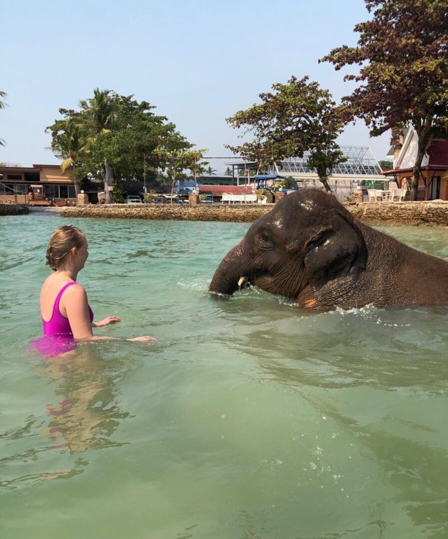 Развлечения на острове Ко Чанг (Тайланд). И как сбылась моя мечта. Путешествие продолжается. Из зимы в лето.