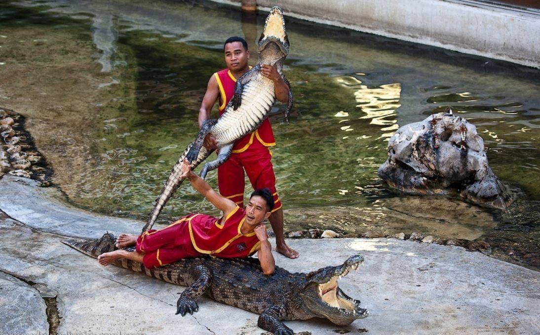 Развлечения на острове Ко Чанг (Тайланд). И как сбылась моя мечта. Путешествие продолжается. Из зимы в лето.