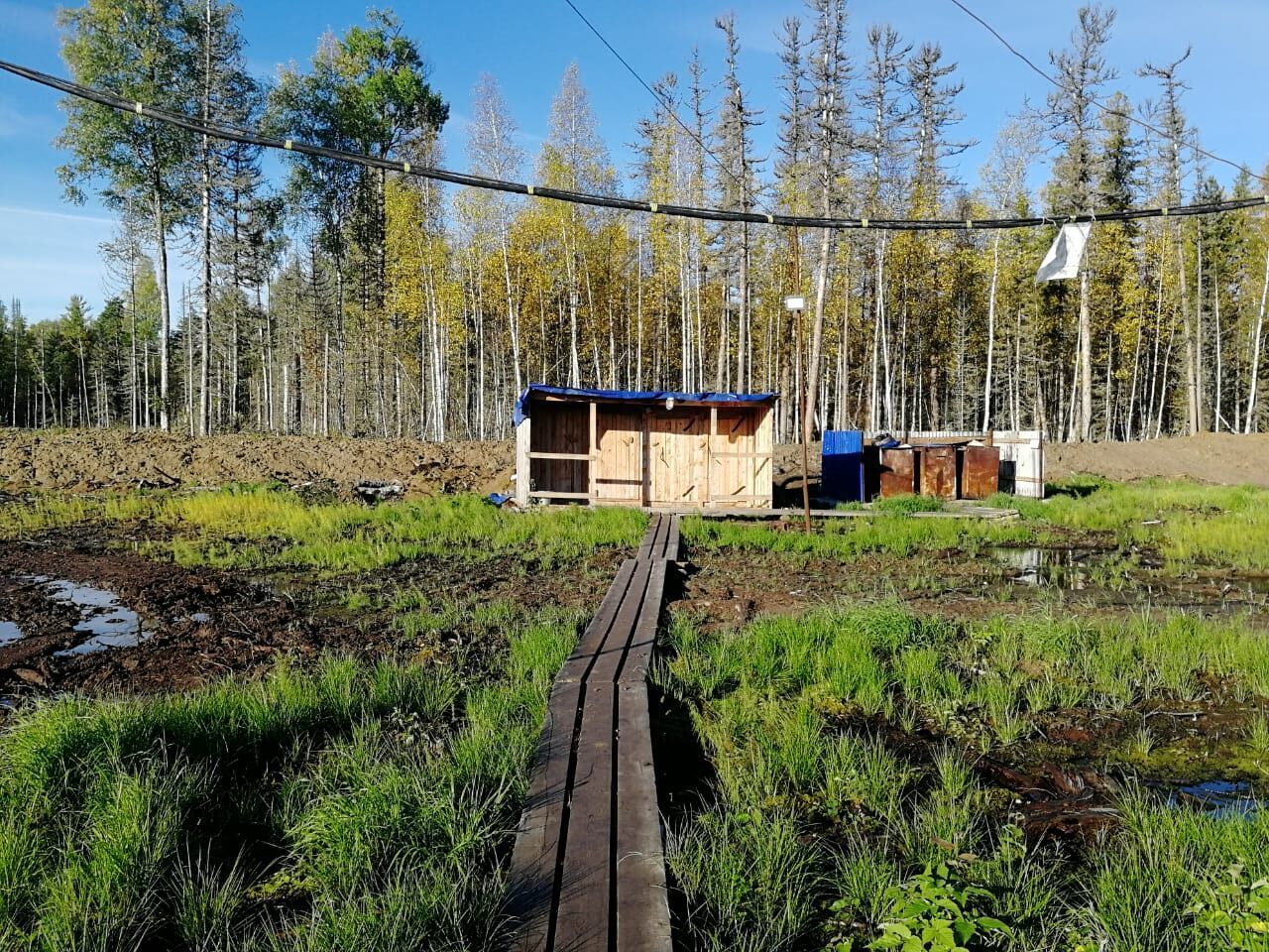 С шестиметровой высоты я с вёдрами в руках полетел в васюганское болото – история 39-летней давности