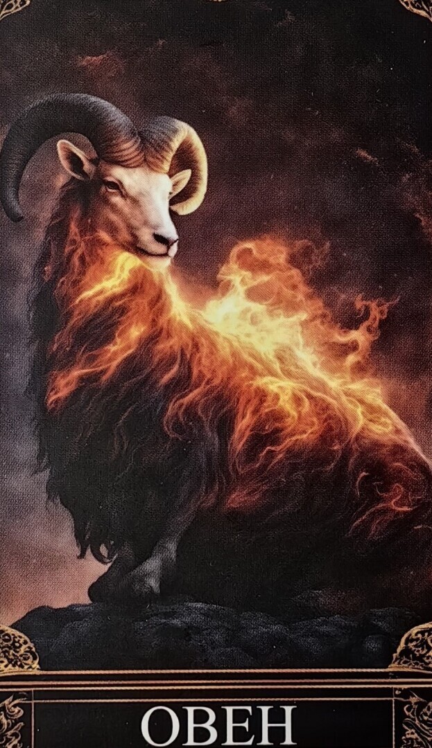 Овны. Прогноз на февраль 2024 года.