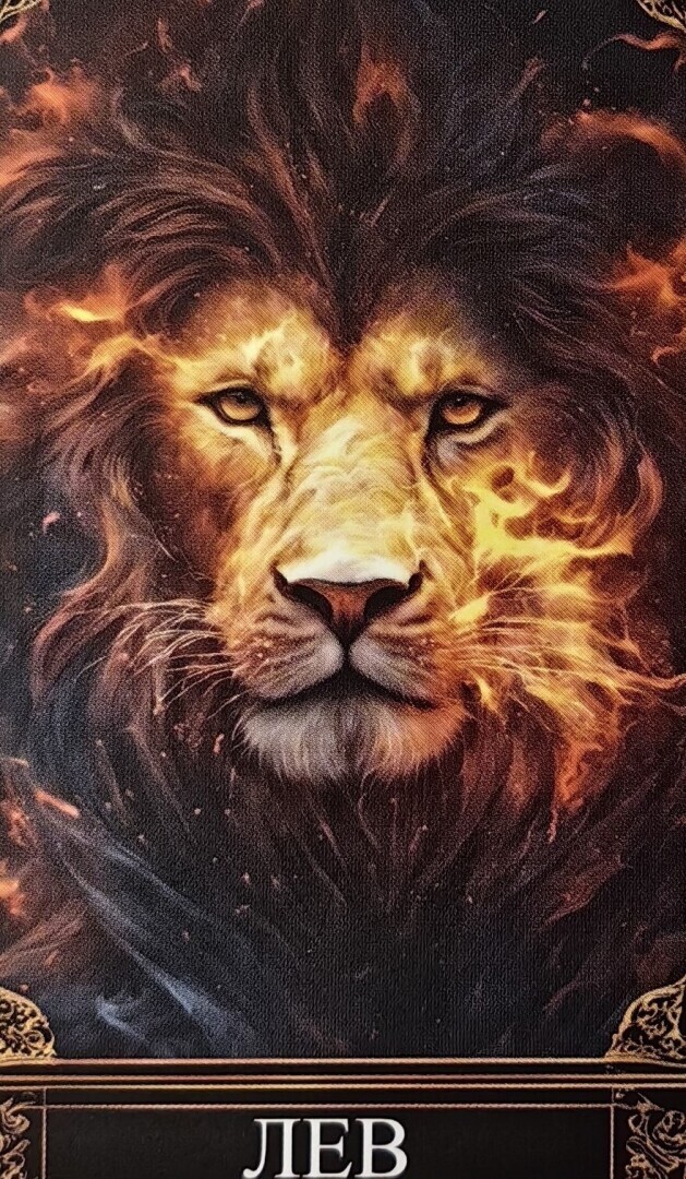 Лев. Прогноз на февраль 2024 года.