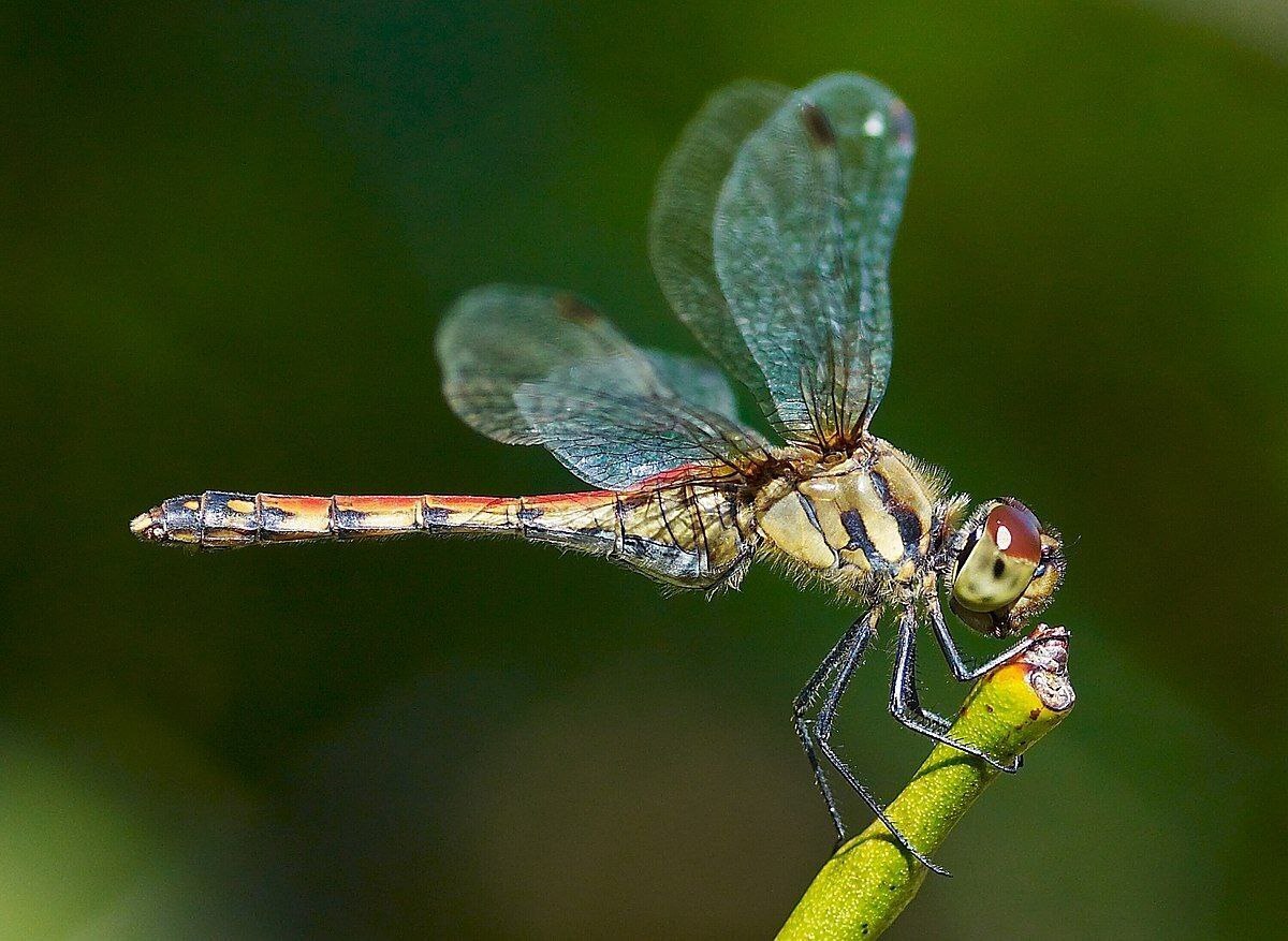 Топ 5 Интересных Факто За Сегодняшний День
