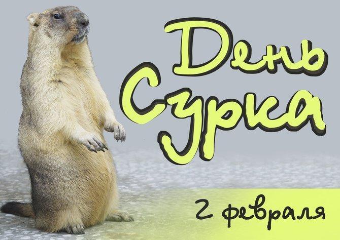 Интересная дата - 2 февраля, День Сурка