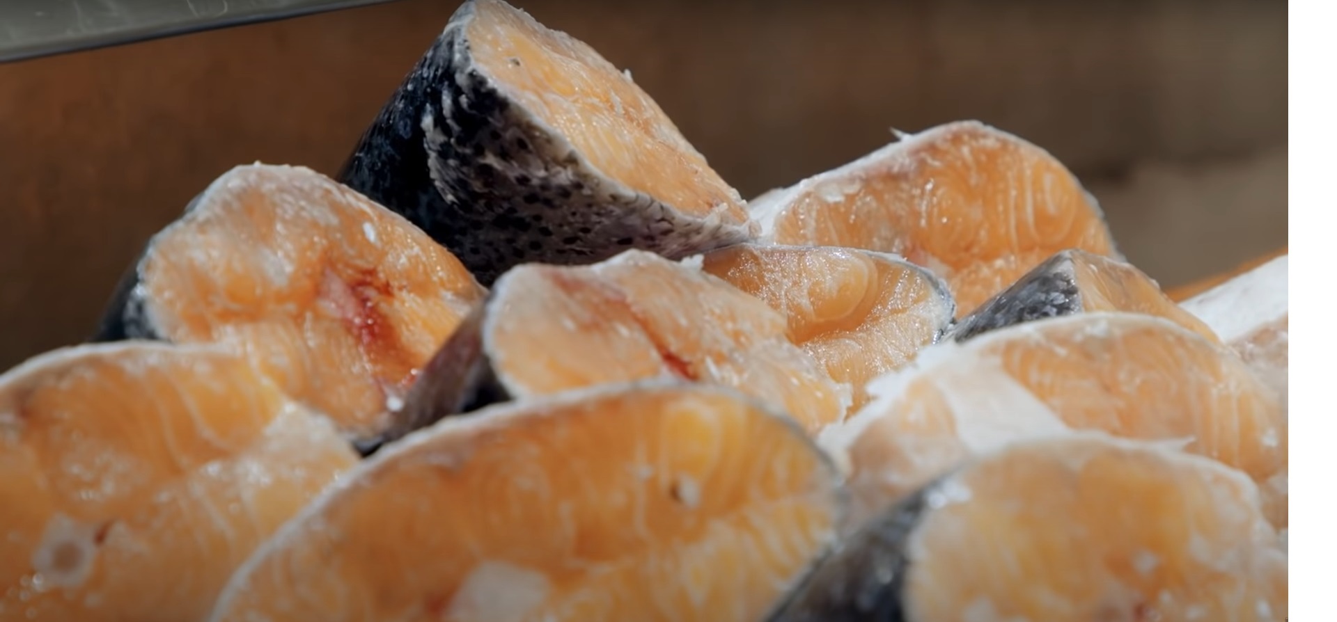 Россия мировой лидер по добыче лосося