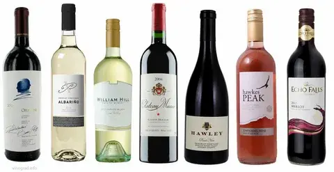 Выбор вина: гид для начинающих