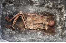 Будущее медицины скрыто в древней ДНК? Дочитайте до конца, это интересно!