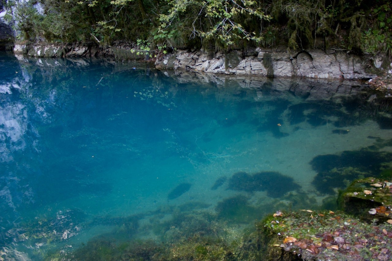 Хороший отдых Прекрасная АБХАЗИЯ.