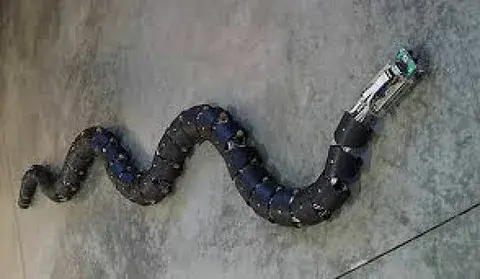 Вездеходный робот-змея.