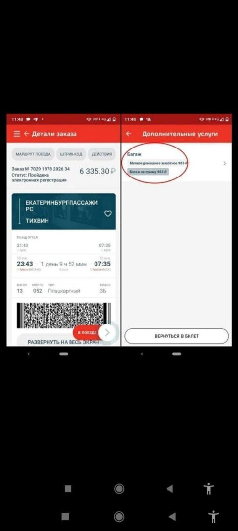 Кот Твикс: взгляд юриста в рамках права и собственное мнение