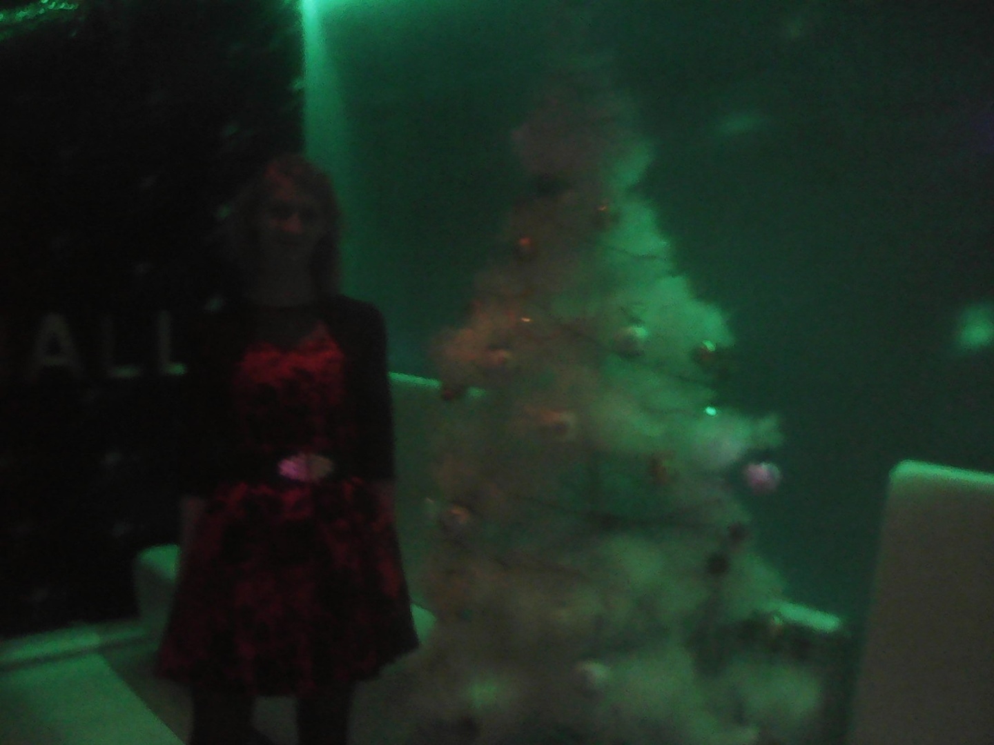 Парадокс ночного клуба