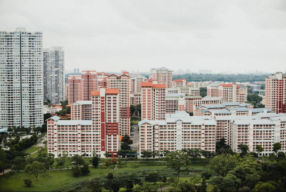 11 лучших профессий эколога