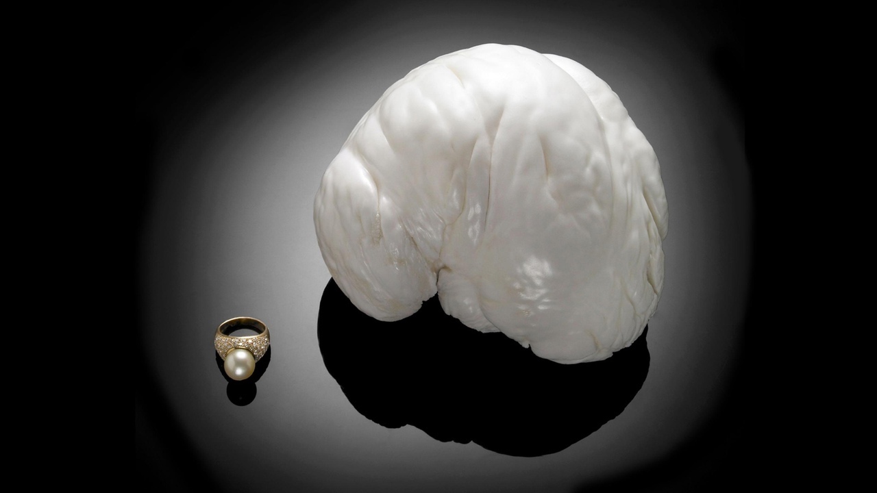 Самая крупная жемчужина в мире