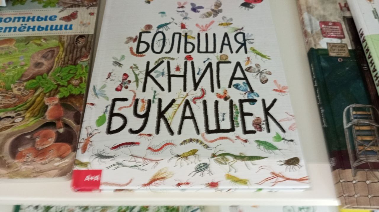 Новая бесплатная Детская Библиотека в Ташкенте, это настоящий книжный город для детей и взрослых