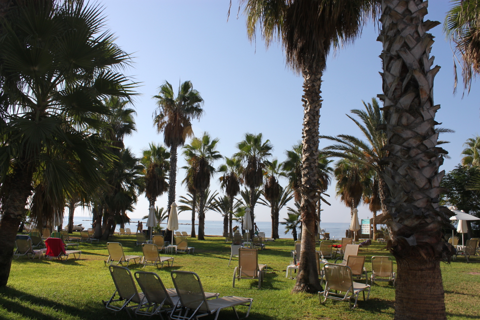 Пафос. Кипр. Мое путешествие на Кипр и почему я туда больше не хочу. Много фото