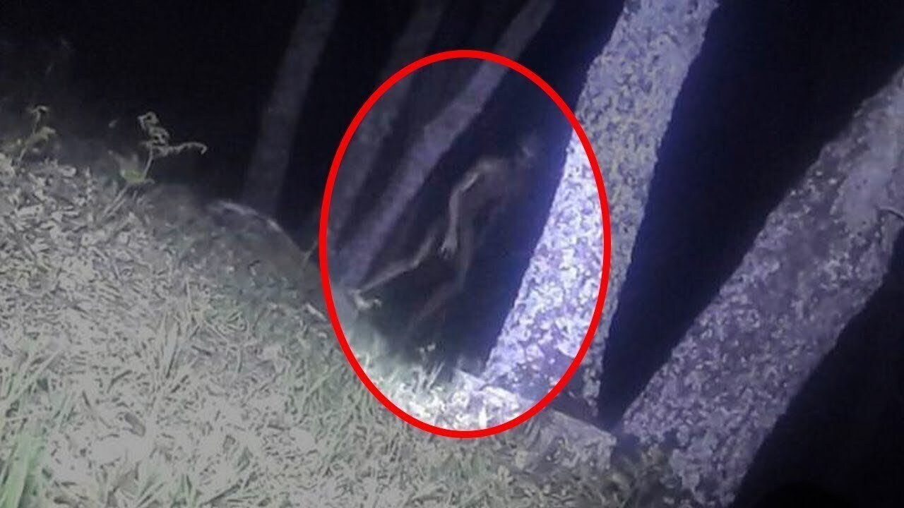 НЛО: факты и свидетельства