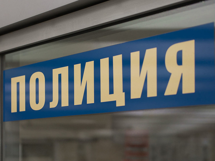 В Москве остановили автомобиль с десятками наркотических брикетов