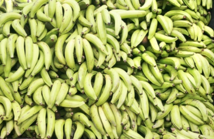 Будет ли рост цен на бананы?