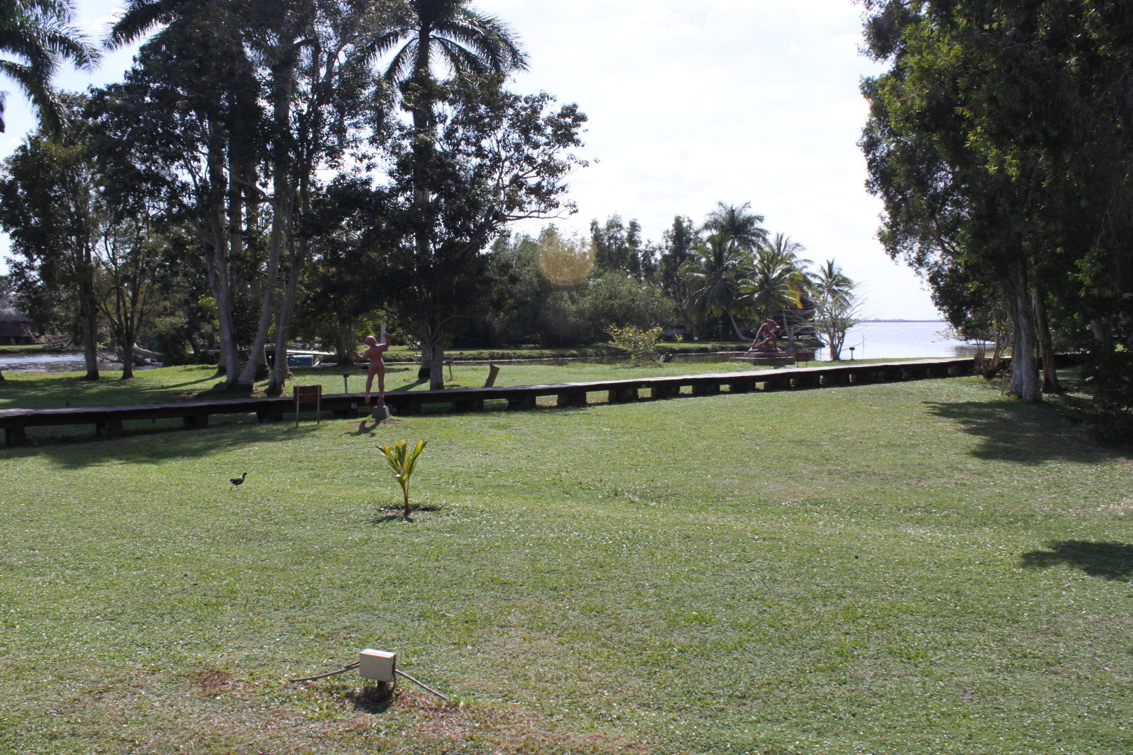 Залив Свиней, Крокодиловая ферма, остров Игуан мое путешествие по нетуристической Кубе. Фото