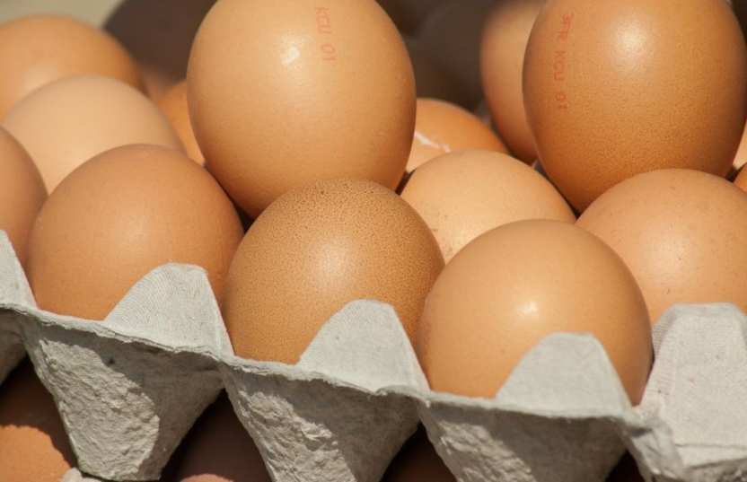 Сверхмасштабная свалка куриных яиц в Омской области: что стоит за этим ужасающим находкой?