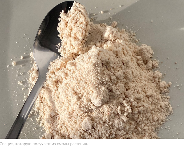 Дьявольский навоз или обеденное наслаждение? История Хинга, одного из самых противоречивых ингредиентов Индии