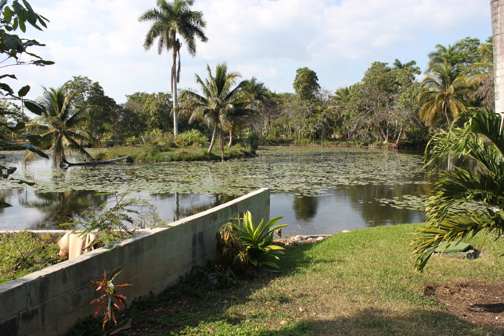 Залив Свиней, Крокодиловая ферма, остров Игуан мое путешествие по нетуристической Кубе. Фото