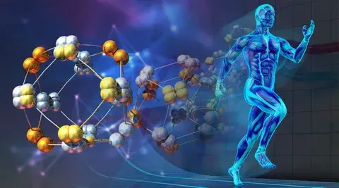 Интересные факты о нашем теле, о которых вы не знали