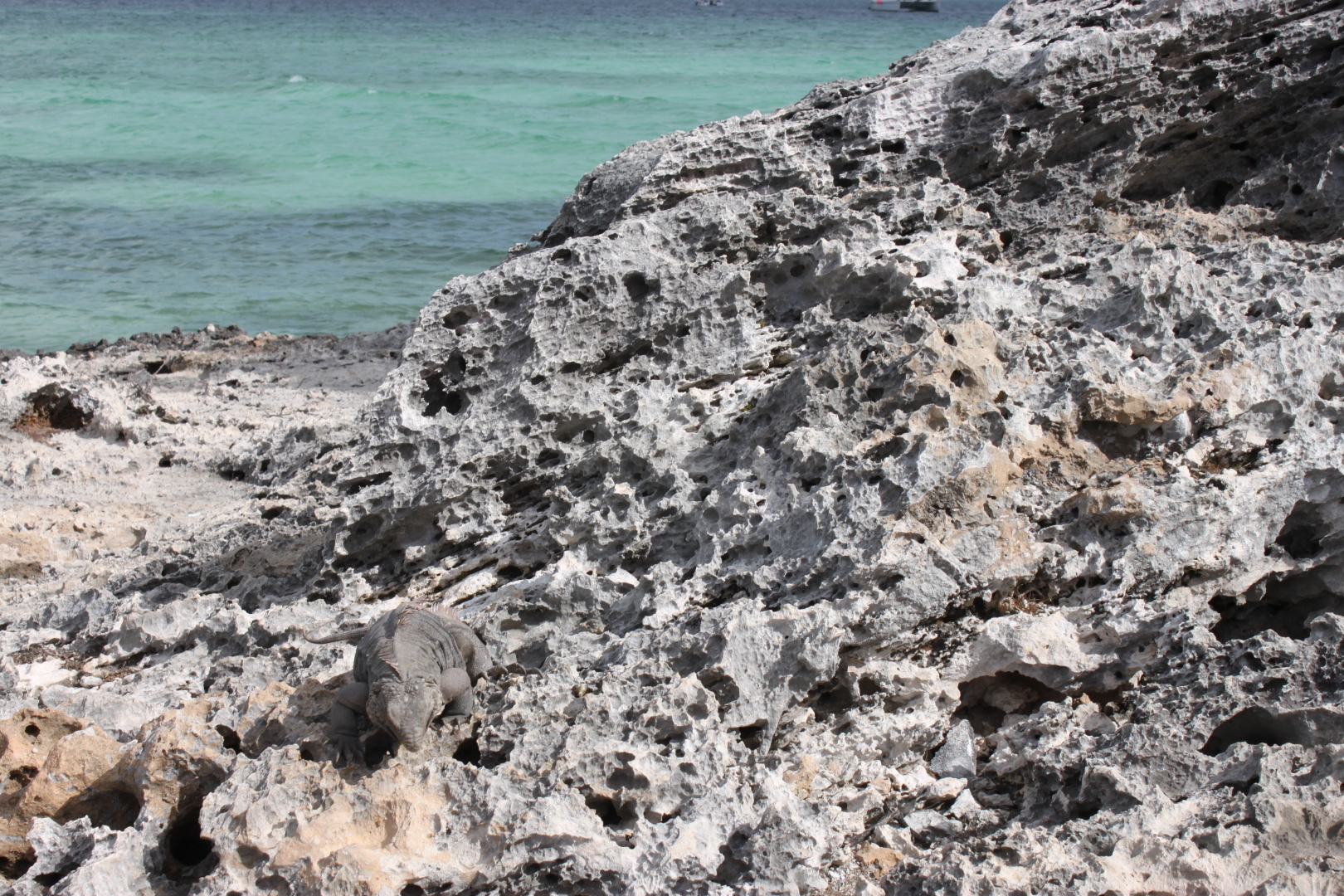 Залив Свиней, Крокодиловая ферма, остров Игуан мое путешествие по нетуристической Кубе. Фото